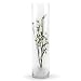 WGVI Quality Thick Weighted Tall Clear Cylinder Glass Vases, 4