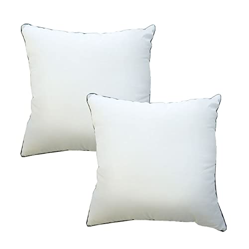 ≪2個セット≫ 昭和西川 クッション ホテル仕様 ホテルモード マルチ 約40×40×15cm 側地 ポリジン 抗菌 防臭 ピーチスキン加工 わた枕 腰枕 洗える 足枕 むくみ 脚まくら シンプル ホテル ホワイト 白