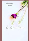Care Conference Planner: For the Long Term Care Social Worker in Skilled Nursing