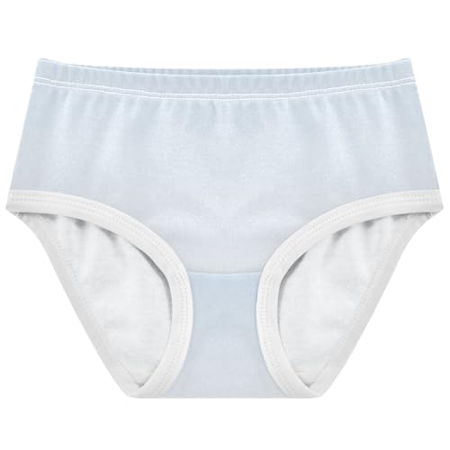 Joisal Cotton Toddler Underwear Floral Ombre White Blue Gradient Little Girl Panties Durable Undies Kids Briefs 2t