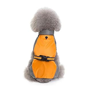 Kleur Bijpassende Hondenkleding Herfst Winter Waterdichte Polyester Regenjas voor Honden Medium Grote Golden Retriever Groen Jongen Ropa