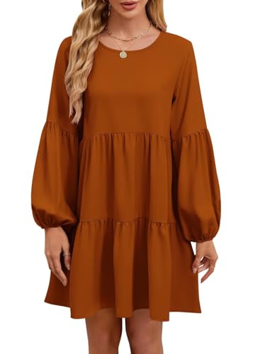 Image of QACOHU Falll Dresses for Women 2026 Crew Neck Long Lantern Sleeve Casual Loose Flowy Swing Shift Dress