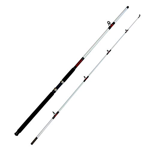 EatMyTackle 2 Piece Surf Fishing Rod - 10 ft. | White Beast 15-30 lb.