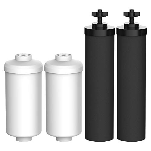 AQUACREST Water Filter, Replacement for Black Filters (BB9-2) & Fluoride Filters (PF-2) Combo Pack and Gravity Filter System - Includes 2 Black Filters and 2 Fluoride Filters