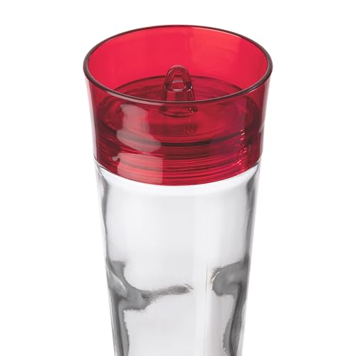 More Birds 35IN More Birds Ruby Hummingbird Feeder, Glass Bottle, 5 Feeding Ports, 10-Ounce Nectar Capacity,Ruby Red