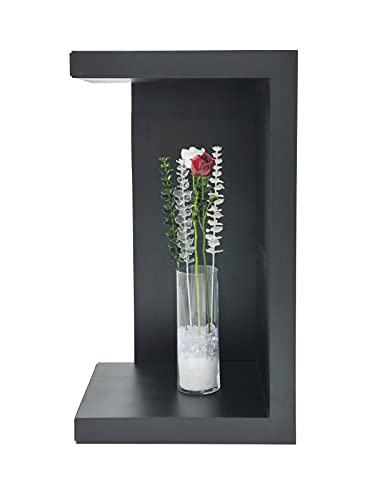 EUROPALMS Kristalleukalyptus, Kunstpflanze, transparent, 81cm 12x | Edle, vielseitige Ganzjahresdeko