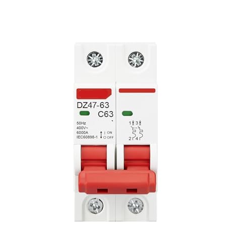 Disyuntor de 2 polos C45N 63A para riel DIN de 35 mm y 400V