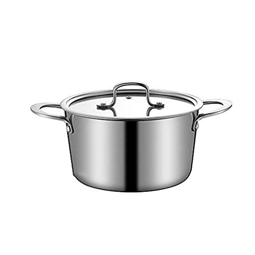 Olla De Acero Inoxidable para Leche, con Tapa Y Doble Asa, Resistente Al Calor, Multiusos, 22 Cm(Un color-20cm)