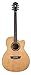 Washburn AG70CEK-A Apprentice Series Acoustic Electric Guitar
