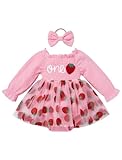 EFOGEP Baby Girls First Birthday Outfit: Princess Long Puff Sleeve Smocked Ruffle Tulle Tutu Dress and Headband 2PCS Strawberry One Year Old Photo Shoot Cake Smash Outfit Pink Strawberry 12-18 Months