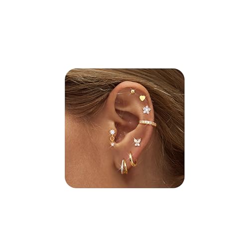 Diamday 8 Paires Boucles d'Oreilles Femme Acier Inoxydable Piercing Oreille Tragus Helix Piercings Creoles Argent Boucles d'Oreilles Femme Or Hypoallergénique...