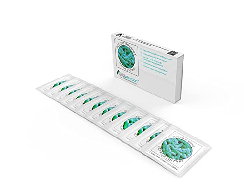 Natural Probiotic Selection Yogurt Starter Cultures - Pack of 12 Freeze-dried Culture Sachets for Bifido Yogurt (12)