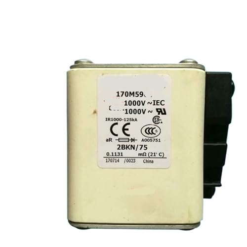 Fusible 170M5961 pour stopper les surcharges électriques sur redresseur industriel