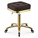 Tabouret De Beauté Doré sur roulettes, Tabouret De Barbier Pivotant Réglable en Hauteur avec Tige De Chaise Dorée pour Cuisine, Salon, Bar, Bureau, Massage, Clinique