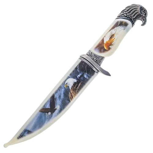 ASR Outdoor 13 inch Decorative American Eagle Etched Blade Collectors Hunting Knife, Ornamental Scabbard and Handle - Thumbnail 3