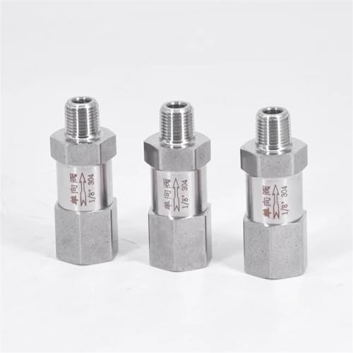 Clapet anti-retour pour vapeur et huile chaude 3/4 pouce NPT en acier inox 304 en ligne