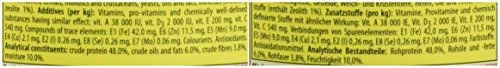 Tropical Super Spirulina Forte Chips met 36% Spirulina (Platensis), per stuk verpakt (1 x 250 ml) - Afbeelding 5