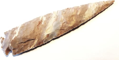 Pointes de flèche préhistoriques de 25 cm pour décoration cabinet de curiosités