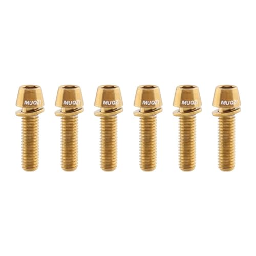 ]ԗpXelW{gZbg 6 M5x17mm XeX nho[p[c fBXNu[LΉ ()
