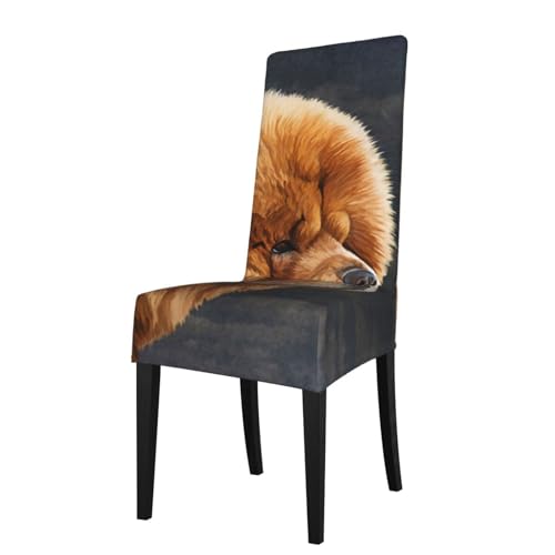 HYUNDP Funda para Silla de Comedor con diseño Vintage de Perro Chow, elástica, extraíble y Lavable.