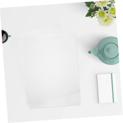 Pochettes PVC double face transparentes pour protéger 120 photos en classeur