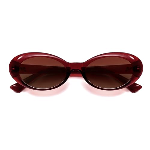 Retro Oval Sunglasses for Women Men 90s Vintage Cat Eye Sunnies AR823002