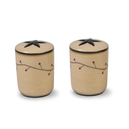 Park Designs Star Vine Salt & Pepper Set, Ceramic