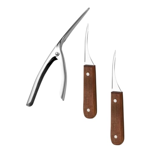 CHICAMPERA XeXGrނ_ ӓ؃nh XeX w킽iCtt Lb` Xg AEghApGr|c