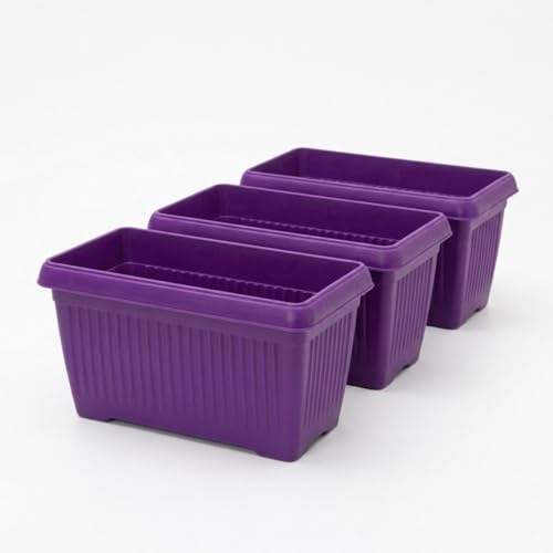 Image of Bello Rectangle 30cm Purple Plastic Planter | Rectangular Flower Pot for Home & Garden (Pack of 3)