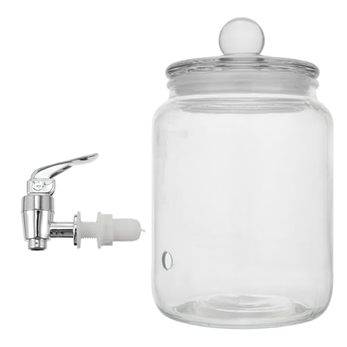 DECHOUS Dispensador de Vino de Vidrio Grifo ABS Barril para Bebidas de 3 Litros Adecuado para Almacenar y Servir Brandy Whisky Vodka y Ron Bodas y Fiestas DECHOUS Dispensador de Vino de Vidrio Grifo ABS Barril para Bebidas de 3 Litros Adecuado para Almacenar y Servir Brandy Whisky Vodka y Ron Bodas y Fiestas