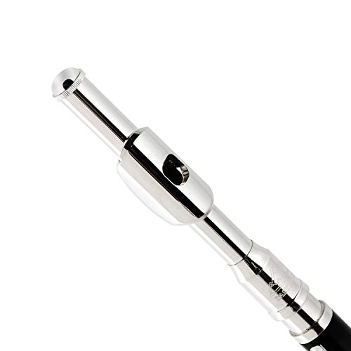 Eastrock Black Resin Piccolo Key Of C 2-Piece Keys For Beginner, Kids, Student With Hard Case, Cleaning Rod, Cloth And Gloves #TOP1
