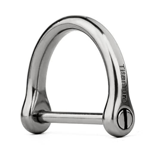 TISUR Titanium D Rings Heavy Duty Car Key Ring