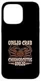 Cangrejo - Cangrejo de Las Nieves Carcasa para iPhone 14 Pro MAX