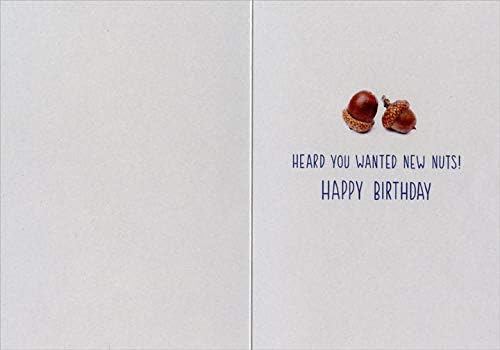 Designer Greetings Squirrel Giving Present to Man in Jeans Funny/Humorous Risque Birthday Card