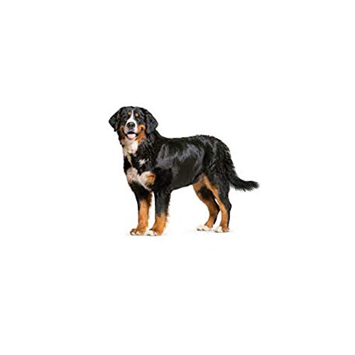 PRETTY SEE 100 Guantes Desechables Guantes en Caja Guantes de PVC Disponibles higiénicos Transparentes Guantes Protectores de Seguridad Desechables(L)