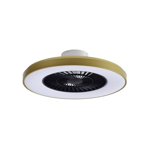 Lindby Ventiladores de techo con iluminación teleo regulable (moderno) en color dorado para, por ejemplo, sala de estar y comedor (1 fuente de luz) desde