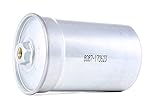 Einwandfreie Kraftstofffiltration