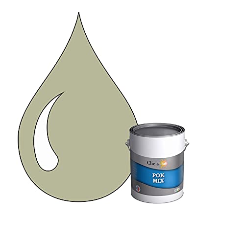 POK MIX Gris : Peinture d'Accroche et Finition 2 en 1 Acrylique Satinée Multi-supports Intérieurs et Extérieurs - 1L - RAL 7032 - Gris Silex