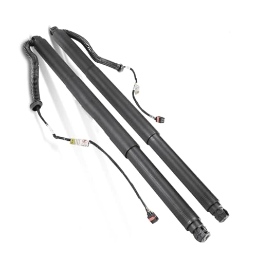 Vérins de hayon de coffre pour VW Tiguan de voyage 2016-2019