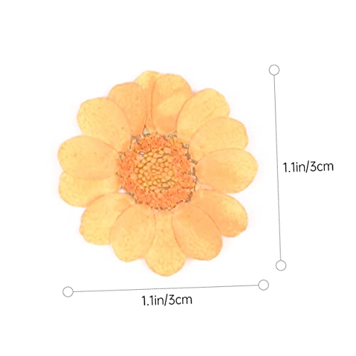Set de 40 flores secas prensadas para decoración y manualidades miniatura 2
