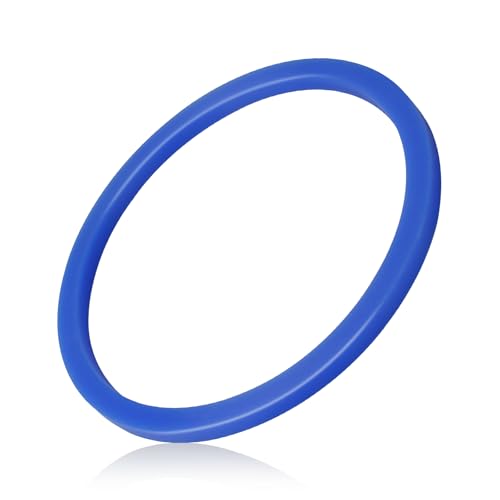 Joint de porte autoclave en silicone de haute pureté pour série 1730