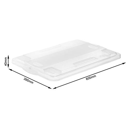 Rotho Agilo Deckel zu Aufbwahrungsbox Agilo A3, Kunststoff (PP) BPA-frei, transparent, A3 (60,0 x 39,5 x 4,0 cm)