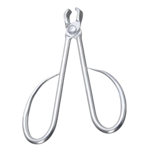 Pine Nut Cracker Nut Opener Metal Tool for Household Sunflower Melon Opener