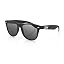Sunglass Matte Black Frame Smoked Lens