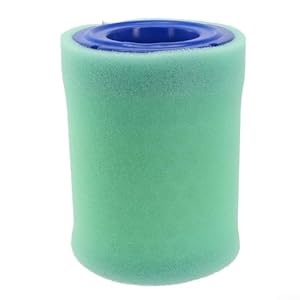 Allthingstore Filtr Powietrza CH395/CH440