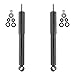 UNITY AUTOMOTIVE 2-254010-001 Rear 2 Wheel Gas Shock Kit 1996-2002 Toyota 4Runner