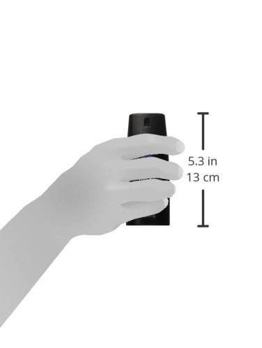 AXE Essence Bodyspray