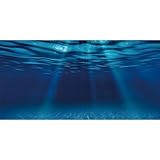 AWERT 48x20 inches Ocean Floor Aquarium Background Undersea Theme Aquarium Background Underwater Fish Tank Background