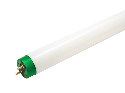 Philips 20W 24 Length T12 Cool White Fluorescent Tube