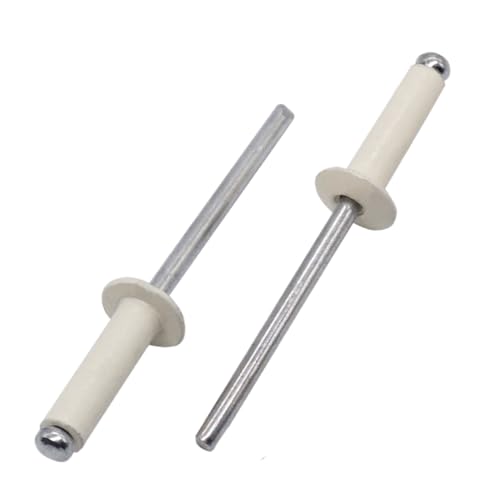 SKIR'CO 100 Remaches ciegos pintados de 4,0 x 10 mm, DIN 7337, cabeza de cúpula, mandril de acero, remaches pop (blanco puro RAL 9010)